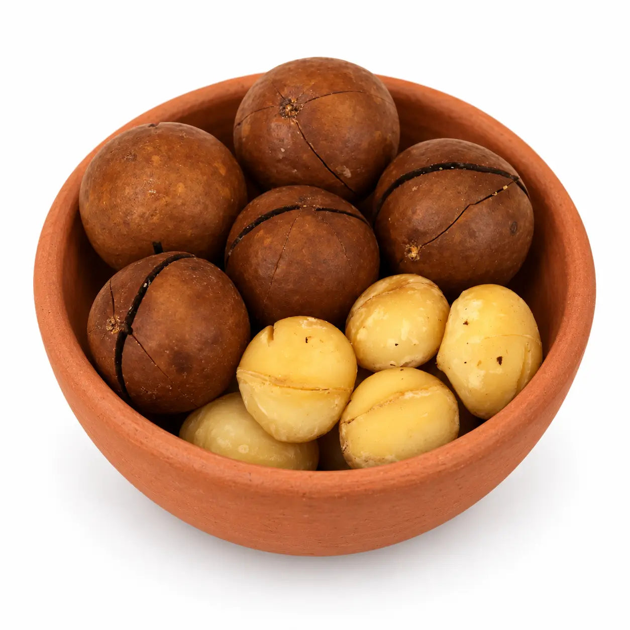 Macadamia Nuts (chabi wala akhrot)