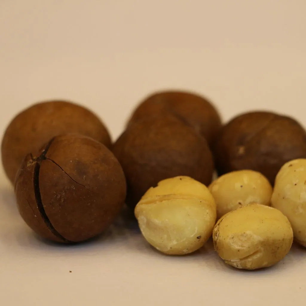 Macadamia Nuts (chabi wala akhrot)