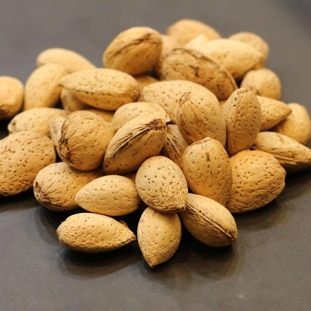 Abdulwahidi Almond S (B)