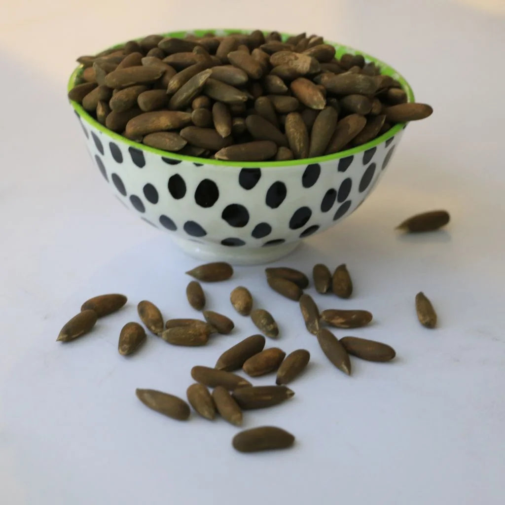Chilgoza Sabat Black (Pine Nuts)