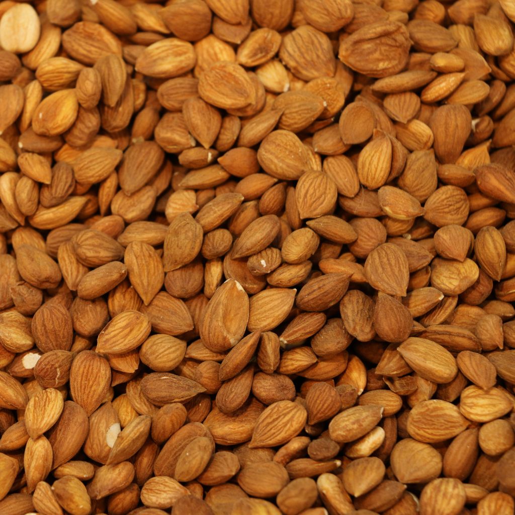 khobani giri (Apricots)